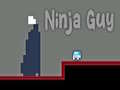 Juego Ninja Guy