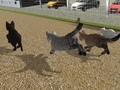 Juego Run Cat Cat Race