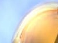 Juego Gem Globoid: Resistance Battle