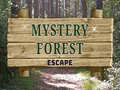 Juego Mystery Forest