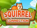 Juego Squirrel Connection