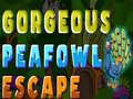 Juego Gorgeous Peafowl Escape