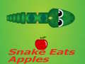 Juego Snake Eats Apple