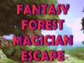Juego Fantasy Forest Magician Escape