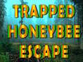 Juego Trapped Honeybee Escape
