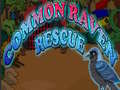 Juego Common Raven Rescue