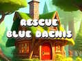 Juego Rescue Blue Dacnis