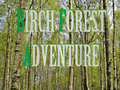Juego Birch Forest Adventure