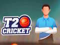 Juego T20 Cricket