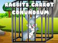Juego Rabbits Carrot Conundrum