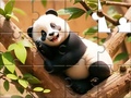 Juego Jigsaw Puzzle: Panda On Tree