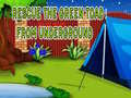 Juego Rescue The Green Toad From Underground