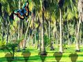 Juego Rescue Tasmanian Tiger
