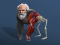 Juego Idle Evolution From Cell To Human