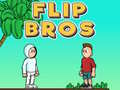 Juego Flip Bros