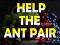 Juego Help The Ant Pair