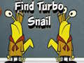 Juego Find Turbo Snail
