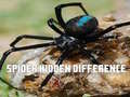 Juego Spider Hidden Difference