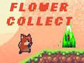 Juego Flower Collect