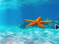 Juego Escape From Underwater Starfish