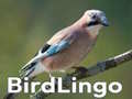 Juego BirdLingo