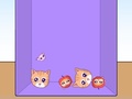Juego Evolution of Cat Memes