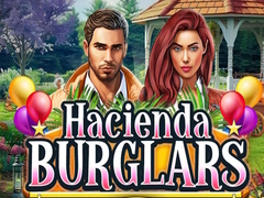Juego Hacienda Burglars