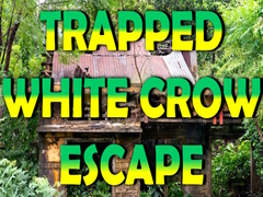 Juego Trapped White Crow Escape