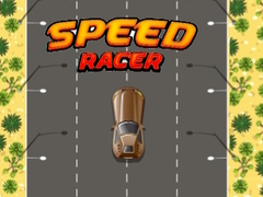 Juego Speed Racer