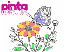 Juego Pinta Colour