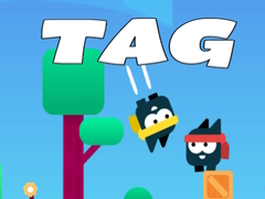 Juego Tag