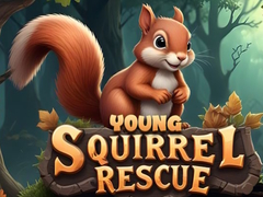 Juego Young Squirrel Rescue