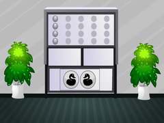 Juego White House Escape