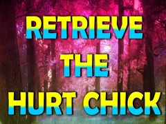 Juego Retrieve The Hurt Chick