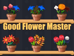 Juego Good Flower Master