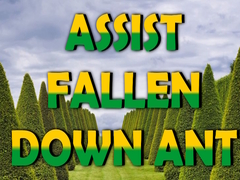 Juego  Assist Fallen Down Ant