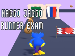 Juego Haggo Jaggo Runner exam
