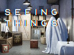 Juego Seeing Things