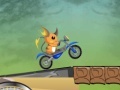 Juego Raichu Ride 