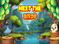 Juego Meet The Birds 