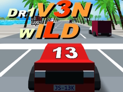 Juego Dr1v3n Wild