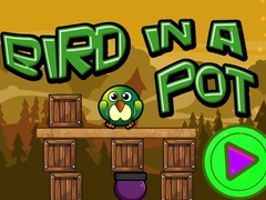 Juego Bird In A Pot