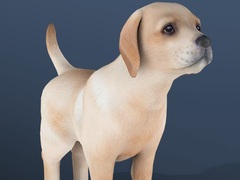 Juego IDLE Pet