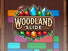 Juego Woodland Slide