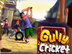 Juego Gully Cricket