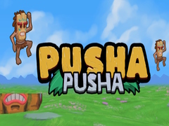 Juego Pusha Pusha