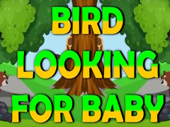 Juego Bird Looking For Baby