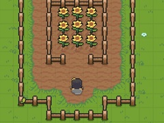 Juego Charlotte Valley