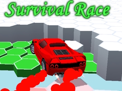 Juego Survival Race