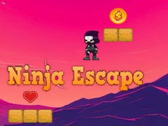 Juego Ninja Escape 2D